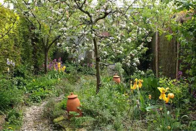 Food forest garden design